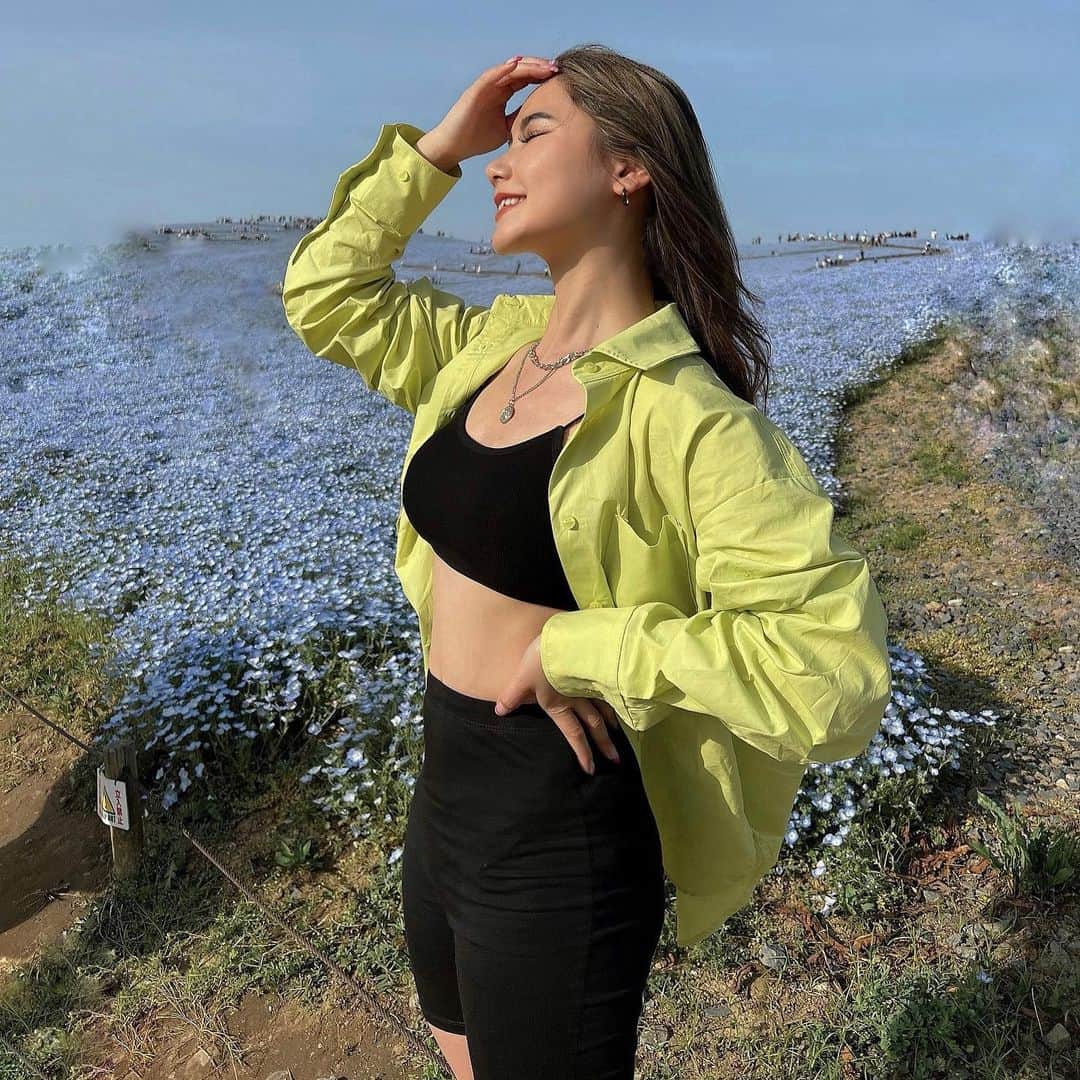 𝑀𝑎𝑘𝑖𝑀𝑖𝑘𝑢のインスタグラム：「🍋🍋🍋  ⁡ @shaggie_official  ⁡ ⁡ ⁡ ⁡ ⁡ ⁡ ⁡ ⁡ ⁡ ⁡ ⁡ ⁡ ⁡ ⁡ ⁡ ⁡ ⁡  ⁡ ⁡ ⁡ ⁡ ⁡ ⁡ ⁡ ⁡ ⁡ ⁡ ⁡ ⁡ ⁡ ⁡ ⁡ ⁡ ⁡ ⁡ #茨城 #茨城県 #茨城観光 #観光地 #観光 #観光スポット #茨城旅行 #旅行 #旅行好きな人と繋がりたい #ひたち海浜公園 #国営ひたち海浜公園 #ひたちなか #ひたちなか市 #菜の花 #ネモフィラ #菜の花畑 #花好きな人と繋がりたい #アウトドア好きな人と繋がりたい#shaggie #shaggie_ootd #ネモフィラ祭り #ネモフィラ畑 #ネモフィラブルー #ネモフィラ祭り2022フォトコン #シャツコーデ #カラーシャツ #グリーンコーデ #イエローコーデ #イエローシャツ」