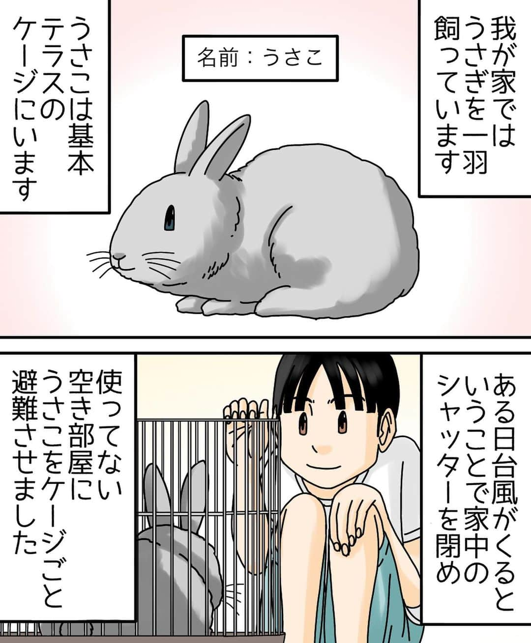 ババレオさんのインスタグラム写真 - (ババレオInstagram)「今回はcororiさんからいただいたお話を基に漫画化させていただきました。  そのまま飼うことにしたというcororiさん一家…  この謎現象受け入れるのスゴい。 ・ ・ @babareo2 のプロフィール欄かストーリーズからブログへ飛ぶと一話先読み出来ます💁‍♂️ ・ ・ #絵 #イラスト #お絵かき #落書き #漫画 #まんが #マンガ #エッセイ #エッセイ漫画 #コミックエッセイ #絵日記  #世にも奇妙ななんかの話 #ライブドアインスタブロガー #うさぎ」5月19日 7時41分 - babareo2