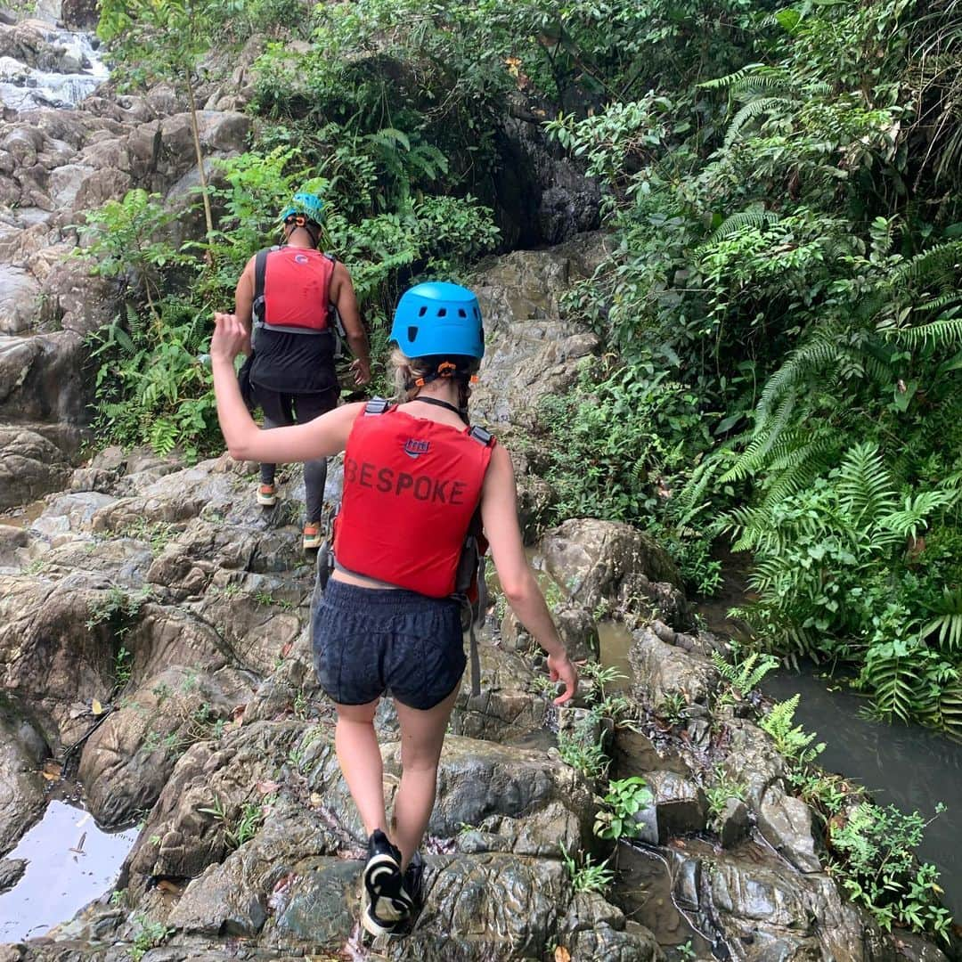 タラ・ケインのインスタグラム：「Explored the rainforest, what did you do? 🌿」