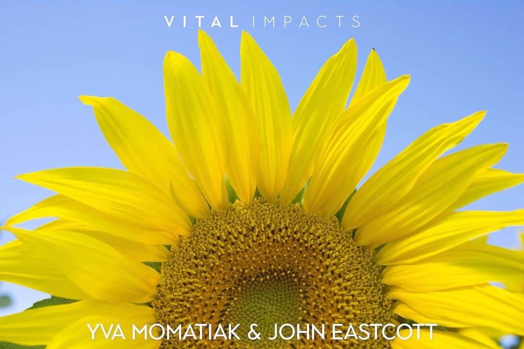 Michael Yamashitaのインスタグラム：「Our hearts are full of gratitude to everyone who made the @vital.impacts humanitarian aid fundraiser a success. Thanks to your support, we sold over $800,000 of breathtaking prints. 100% of profits will go to @directrelief to provide critical humanitarian aid in Ukraine and around the world.   Thank you @cansoninfinity @paperandinkstudio & @theprintspace and especially the photographers.  @argonautphoto @acacia.johnson @amivitale @amysacka @amytoensing @andreabruce @andrea_frazzetta @babaktafreshi @benedicte_kurzen @brianskerry @brucedalephotography cameron.davidson.photo @carltonward @chiaragoia @christianziegler @ciriljazbec @daniele_volpe @dzalcman @daviddoubilet @dguttenfelder @davidliittschwager @davidemonteleonestudio @dina_litovsky @edkashi @elliotstudio @evgenia_arbugaeva @franslanting @fritzhoffmannschinawork @gabrielegalimbertiphoto @_giuseppenucci @gordonwiltsie @instadickie @gregkahn @iantehphotography @irablockphoto @ismailferdous @jaime_culebras @james_balog James Stanfield @jasperdoest @javier_aznar_photography @jtkerby @jimrichardsonng @jimmychin @joannapinneo @jodicobbphoto @joemcnallyphoto @johnstanmeyer @joshuacogan  @justmiel @kaigner @katieorlinsky @kengeiger @kennethgarrettphoto @kiliiiyuyan @klausnigge @laurakmorton @lucalocatelliphoto @ljohnphoto @maggiesteber @marcovernaschi @fishercreative @martinedstrom @mathiasdepardon  @paleyphoto @_melaniewenger_pictures @melissafarlow/ @michaelgeorge @michaelmelford @yamashitaphoto @mishkusk @nadiashiracohen @nicholesobecki @nickcobbing @norbert_rosing_photography @paoloverzone @paulnicklen @pedromcbride  Peter Ginter @prasen.yadav @randyolson @remibenali @renaeffendiphoto @shonephoto @rwmaddenphotog @hammond_robin @rubensalgadoescudero @sarahyltonphoto @roseleen @sarah_stacke @khandelwal_saumya @scottgoldsmithphoto @simoncroberts @sissebrimberg @smitashrm @spencerlowell_ @christmannphoto @stephenedwardferry @stevewinterphoto @steven_gnam @stuartpalley @susiepostrust @zacekfoto @habjouqa @thomas.nicolon @travisdovephoto @turjoychowdhury @vincentjmusi @williamodaniels Yva Momatiak & John Eastcott @zachkrahmer」