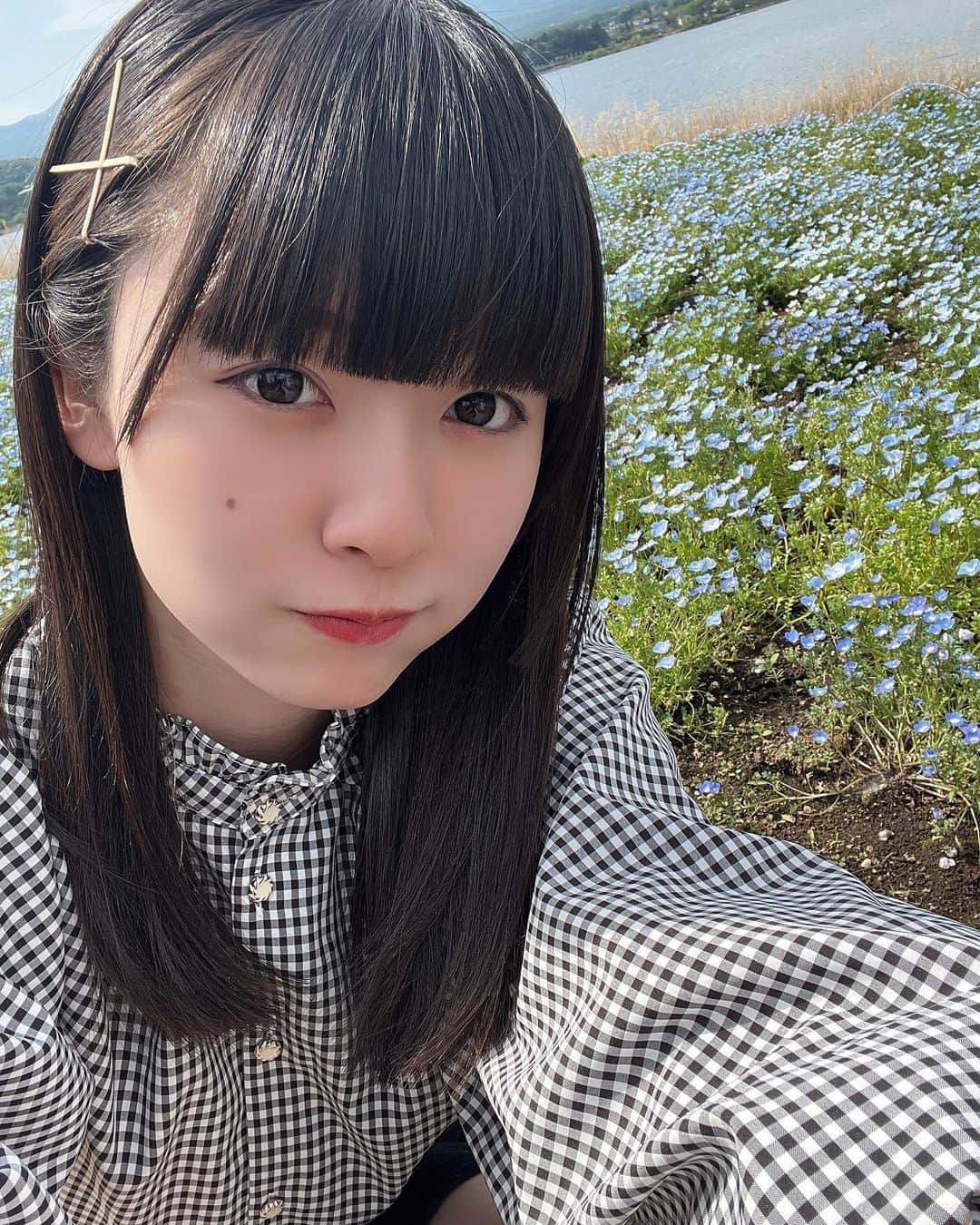 橋本美桜のインスタグラム：「ネモフィラがとても綺麗でした❁   #アイドル #idol #japan #偶像 #自撮り #写真 #黒髪 #ミディアムロング #ストレートレア #パッツン前髪 #アイドル前髪 #ナチュラルメイク #私服 #ネモフィラ #ネモフィラ畑 #山梨 #ootd」