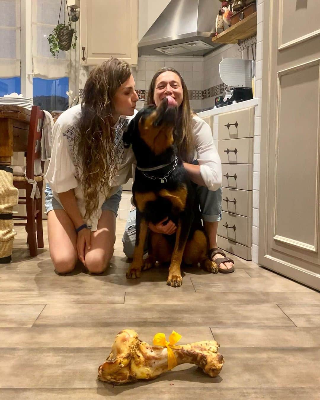 ヴァレンティナ・アリゲッティのインスタグラム：「Festa di Compleanno un po’ in ritardo 😅🍖  Jorah 🤍 1 anno di questo piccolo paraculo #rottweiler #marchesatokennel #solofigaccioni #therainbowflock」