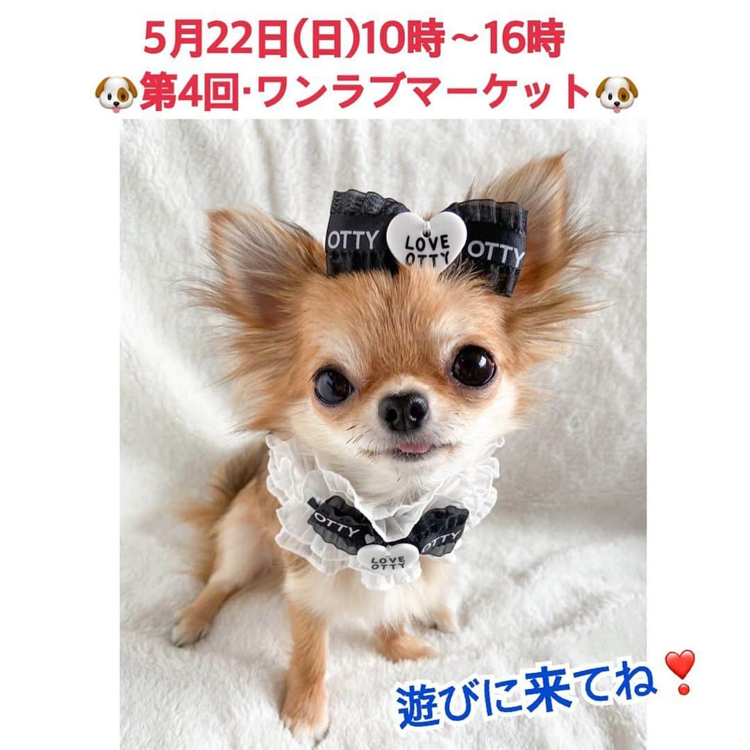 大原かおりのインスタグラム：「Ottyイベント出展のお知らせ🐶💓  明後日の5月22日(日)、千葉県千葉市にある 『フェスティバルウォーク蘇我さん』で開催される ワンラブマーケットの【dog goods 815】ブースで Otty商品の販売をさせて頂く事になりました🙋‍♀️💕 イベントの入場料は無料です。  　💙🏝💙🏝💙🏝💙🏝💙  　第4回 WAN LOVE MARKET 　💙🏝💙🏝💙🏝💙🏝💙  当日ブースではOttyの旧作商品のSALEや、新作商品の受注会などを開催予定です🐶🎀 当日、私もずっとブースにいますのでお近くの方は気軽に 遊びにきてくださいねっ🐶❤️ ※Ottyの名前では出展していないので、『dog goods 815』を見つけてね🔍  ---------- ■開催日時 2022年5月22日(日) 10:00〜16:00 ※荒天、強風時は中止  ■会場 フェスティバルウォーク蘇我 (千葉県千葉市中央区川崎町51-1)  ■入場料 無料  ■駐車場 無料(2,000台) ----------  #千葉市 #蘇我 #wanlovemarket_2022 #ワンラブマーケット #ワンラブマーケット20220522 #ドッグイベント #ドッグマルシェ #ドッググッズ #ドッグトリーツ #ドッグウエア #ドッグマッサージ #オリジナル商品 #イベント開催 #千葉イベント #フェスティバルウォーク蘇我 #わんこと一緒 #入場無料 #駐車場無料 #DogEvent #815 #🐶❤️」