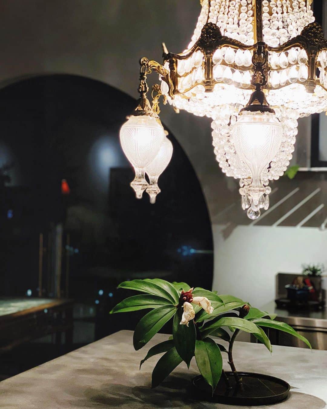 鄭碧瑩のインスタグラム：「A bespoke event space at @intasek is available for your private soirée consideration. Right in the heart of Kuala Lumpur yet there will not be another location like this, managed by the dynamic @twobusybirds - for viewing shoot them a DM.   P/S: For catering chefs looking for a space, you will like the kitchen.」