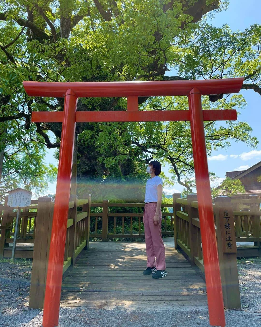 及川真夢のインスタグラム：「. . . パワーをたくさんもらえた✨🌟 . . . #蒲生八幡神社 #指宿神社 #釜蓋神社   神社巡り⛩🌿 #おすすめスポット #指宿」