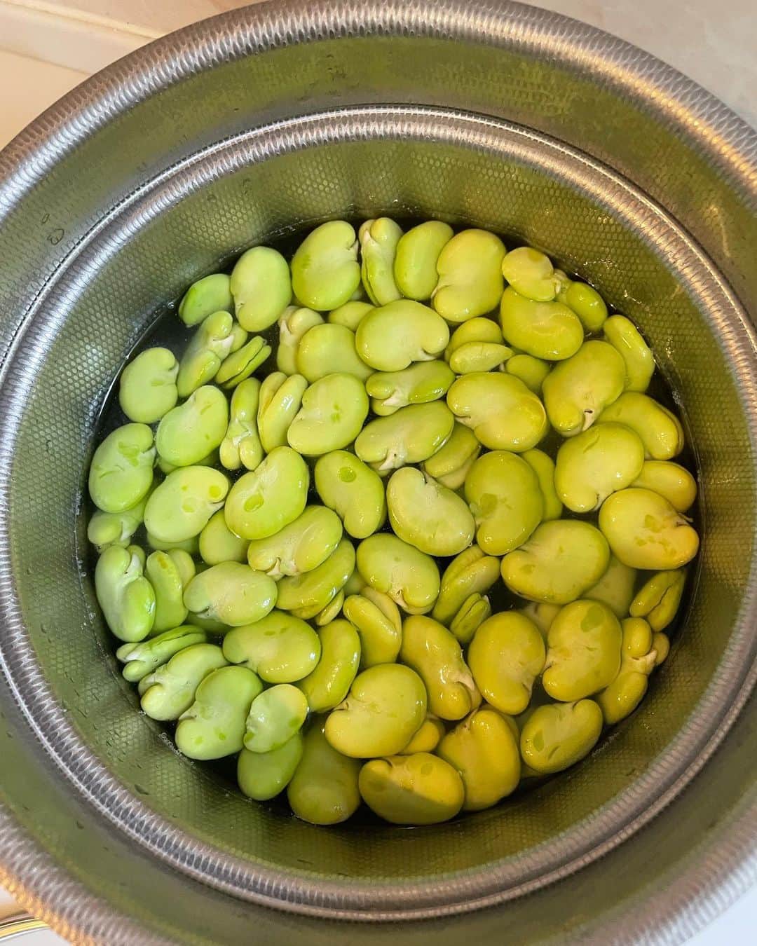中岡由佳さんのインスタグラム写真 - (中岡由佳Instagram)「おばあちゃんの田舎で採れたそら豆。利尻昆布、酒（上善如水）、塩で炊きました。そら豆が一面に広がりご飯が見えない🙄 #cooking  #favabeans」5月20日 9時42分 - yuka_nakaoka