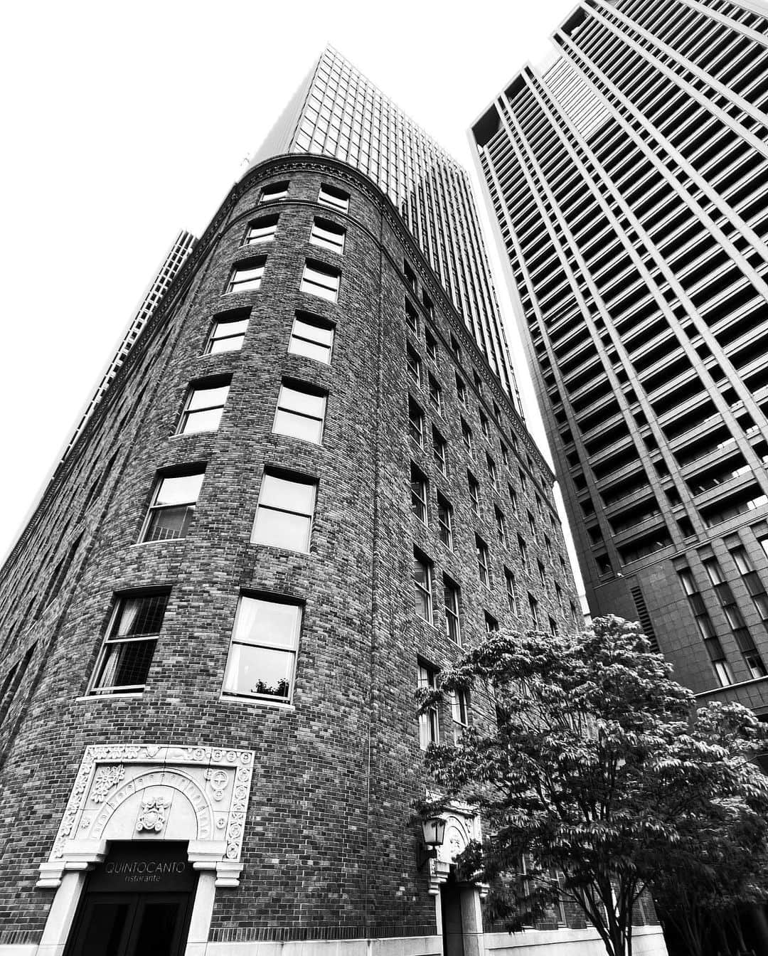 kazuのインスタグラム：「・  #shotoniphone #iPhoneSE3#bnw_rose #bw_perfect #flair_bnw#blacknwhite_perfection #jj_blackwhite #bnw_zone #bnw_quebec #streetGeometry_BW #BNWP_2022 #streetbnw  #street_perfection #bw_addiction #princely_bw #bw_phototrip #igersjp #team_jp_モノクロ #BWGrammer #tokyo_grapher #ShotOn_TG #tg_zdwide_pro #tg_wide #bnw_artstyle #__bnwart＿ #bnw_experimentalism #rustlord_bnw #temma20220515」