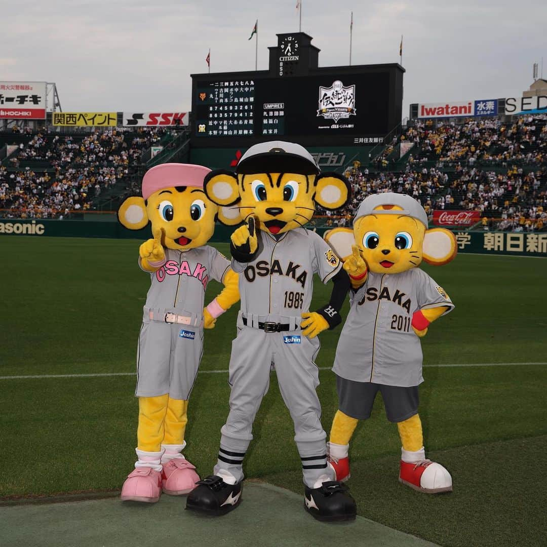 阪神タイガースさんのインスタグラム写真 - (阪神タイガースInstagram)「今日からの甲子園球場での読売ジャイアンツとの3試合では、伝統の一戦の始まりとされる1936年当時の復刻ユニフォームを両球団が着用して戦います！ #阪神タイガース #伝統の一戦 #大阪タイガース #復刻ユニフォーム #トラッキー  #ラッキー  #キー太  #青柳晃洋 選手 #ジェフリーマルテ 選手」5月20日 18時49分 - hanshintigers_official