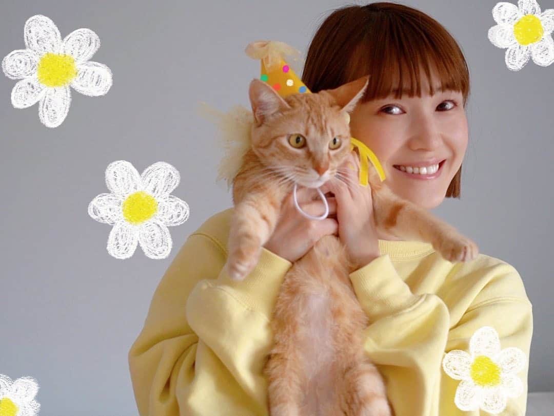 のインスタグラム：「こむぎが一歳になりました❣️🐱🎂 ってことで2人で記念写真😚笑🫧  自分で動物を飼うようになってから 命についてもめちゃくちゃ考えるようになりました。  人間も動物も同じ。大切で宝物。  去年の7月に我が家にやって来たこむぎ。 小さな命を保護して下さったちよさんに感謝いっぱい🌸 @chiyo_atakara1106  出逢わせてくれたことも✨  これからも元気いっぱい、のびのび生きてね🌷だいすき！！  #こむぎ#一歳#誕生日#519#保護猫#茶トラ#家族#親バカ#寝る時いつもいっしょ#誕生日の日の事はYouTubeに載せようと思います😚#編集頑張るぞぉ」