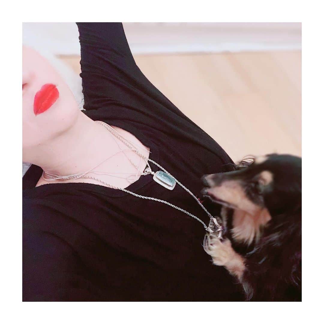 のインスタグラム：「. オハヨウゴザイマス ストレッチすると必ず コウナル 今日もガンバル #癒し #ルーディ #いつも一緒 #ありがとう #わたしのお腹は #ルーディのソファ」