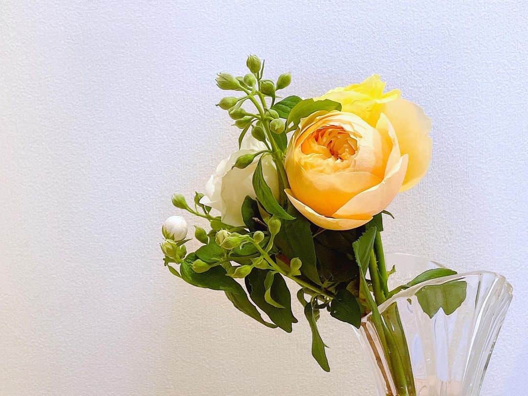 内田敦子さんのインスタグラム写真 - (内田敦子Instagram)「⁡ ⁡ 反復・継続・丁寧。 当たり前のことを当たり前にする。 ⁡ #オレンジの薔薇 #花言葉 #絆」5月21日 9時33分 - atsuko_uchida1205