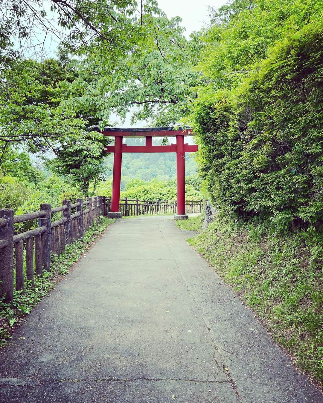 朝岡実嶺のインスタグラム：「めちゃめちゃ急勾配のケーブルカーで、一気に標高424mを上がると、そこには鳥居が⛩ しばらく歩いて、沢山階段を登った先には、ペット祈祷もしてもらえる武蔵御嶽神社🐶  After getting off the cable car which climbs a very steep slope, you can see a torii gate⛩ You’ll walk for a while and climb long stairs to get to Musashimitake Shrine. It’s famous for worshipping the “Oinu-sama” or “Wolf”, and many visit there with their pets🐶  #武蔵御嶽神社 #ペット祈祷 #青梅観光 #御岳山 #御岳山ケーブルカー #パワースポット #おいぬさま #鳥居  #musashimitakeshrine #mountmitake #mitakecablecar #cablerailing #powersports #shrine #oinusama #toriigate」