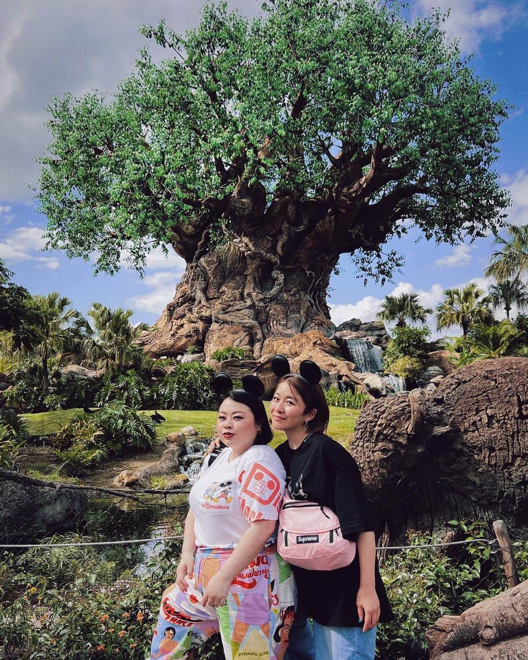 渡辺直美のインスタグラム：「The first Disney World!  I was more excited than the kids around me at Disney World 😂 Because of that, my 34-year-old body reached its limit in the evening 😂  初ウォルトディズニーワールドリゾートFlorida🥹 @littlesunnybiteyoppy とまじテンションぶち上げ☺️ 1日目はアニマルキングダムに💫 アトラクションの他にいっぱい動物も住んでるエリアにょ！ ディズニーランドではシンデレラ城だけど、アニマルキングダムでは大きな木がメインであったにょ😂  ここにしかないアバターのアトラクションがまじ良過ぎてさ、感動してガチで泣いたんだよわたくし😂😂そしたら隣のおじさん引いてた😂それぐらいよかったからぜひみんなに乗ってほしい😂😂  50周年記念みたいでグッズ大量に買った！Tシャツも現地で買ったんだけど、当時の再現した(?)レトロなお土産いっぱい売っててかわいかった🤩💓  あと日本と違うところは、来てる人たち誰一人映えみたいな格好してなくて、みんなジム行く戦闘スタイルな格好できてたw暑いし全部周るってなったら体力いるもんねw あと基本家族で来てた！遠いし高いし泊まりがけだからかな？ 並んでる時に、いろんな子供たちと一緒にはしゃいでたお陰で34歳、夕方にはクソグロッキーw  てか夕方はそれぞれの親も子供もみんなグロッキーだった😂😂それぐらいぶちテンション上がる夢の世界でした☺️💓  みんなのコメントお待ちしております😄 質問もあれば答えますw誰  次の日はまた別のワールドに行ったにょ🤩お楽しみに  #disneyworld  #ディズニーワールド」