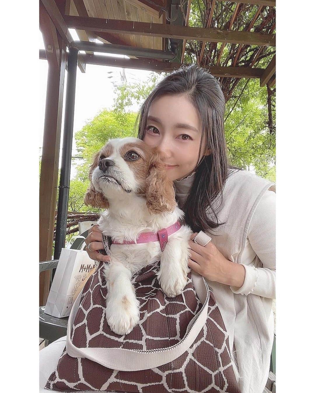 大谷芽衣さんのインスタグラム写真 - (大谷芽衣Instagram)「・ ・ ・ (υ´•ﻌ•`υ)みーと。 ・ 良い週末を♡♡♡ ・ ・ #テラス席ワンコok #わんことお出かけ #knt365 #knitty #ニットバッグ #♻️ #キャバリア #キャバリアキングチャールズスパニエル」5月21日 13時34分 - otani_mei