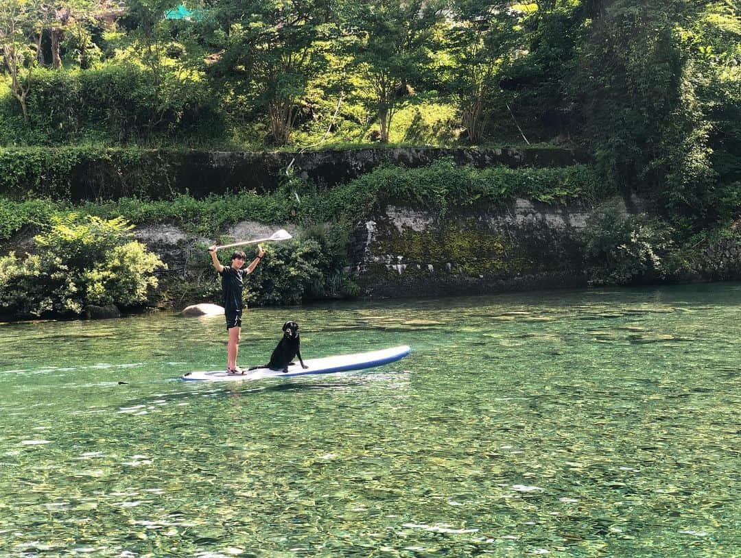 原口元気さんのインスタグラム写真 - (原口元気Instagram)「美しい時間 #きゃんぷさいこう」6月19日 16時08分 - haraguchi_genki_official