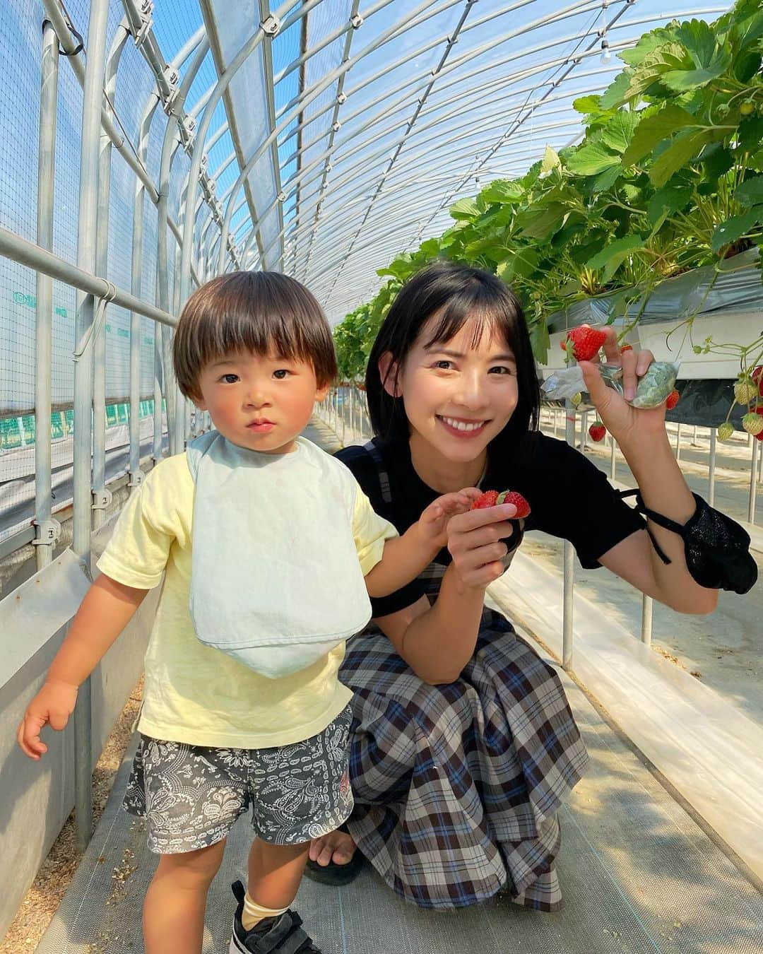 阪本智子のインスタグラム