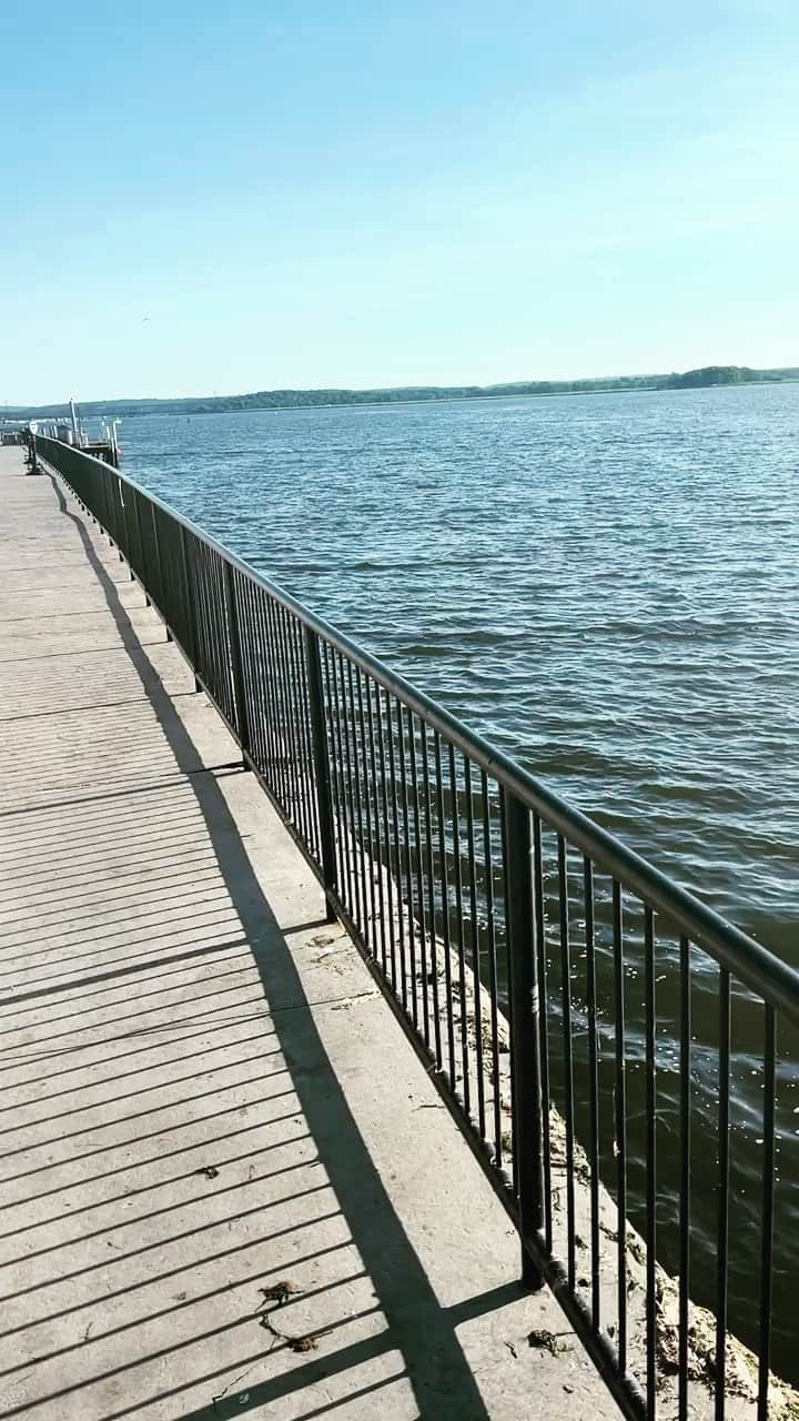 レイ・アレンのインスタグラム：「If you were ever in doubt, the early bird gets the worm(fish) 😏 and the bird was on cue! Lol #getup #ctshoreline #onmyride #pinarellogetsmearound」