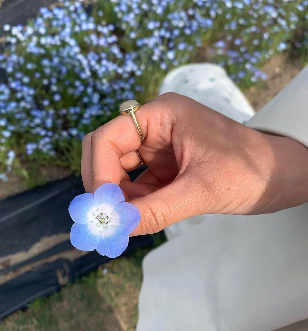 熊江琉唯さんのインスタグラム写真 - (熊江琉唯Instagram)「小さな幸せたくさん見つけたい  最近また日記つけ始めたよ みんなつけてますか？🙋‍♀  #ネモフィラ #紫陽花 #青い花が好き」6月15日 17時59分 - ruikumae