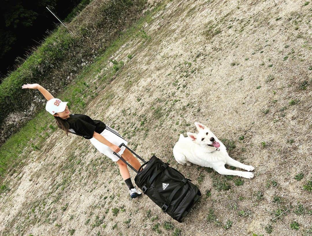 森田遥のインスタグラム：「adidasダッフルバック🧳 シューズ、キャップ、なーんでも入ります！見た目よりかなり容量が豊富です🤎毎週大変お世話になっております🙇‍♀️ . . #久しぶりのゼロ #元気そうで何より☺️ @adidastokyo  @adidasgolf」