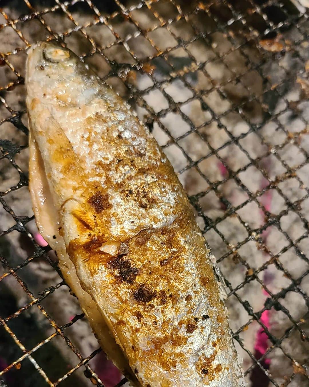 のインスタグラム：「ひめます  #美しい十和田湖で #捕れた絶品のお魚  #くさみの無い #ふわっふわな身に #まるかぶりつきました😍  #名産品#十和田#宝」