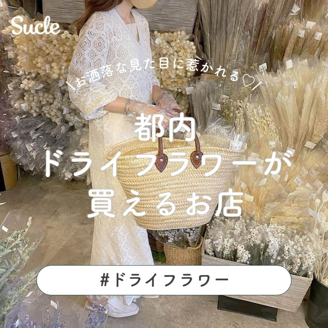 SUCLEのインスタグラム