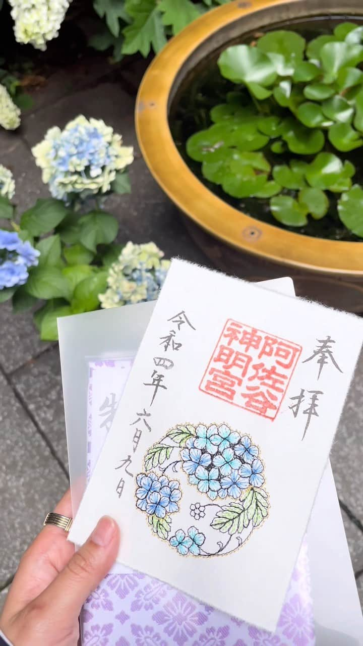 三笠 真由のインスタグラム：「【御朱印巡り】 📍#阿佐ヶ谷神明宮 和紙に紫陽花の刺繍が施されている特別御朱印符 を拝受しました✨ ⁡ #大和がさね 「あじさい」 ⁡ うっとりする美しさ。 ⁡ ⁡ ⁡ ⁡ ⁡ #御朱印ガール　#御朱印 #御朱印帳集め #御朱印巡り #御朱印好きな人と繋がりたい #御朱印好きな人と繋がりたい #神社巡り #神社参拝 #japaneseculture #toriigate #toriigates #jinja」