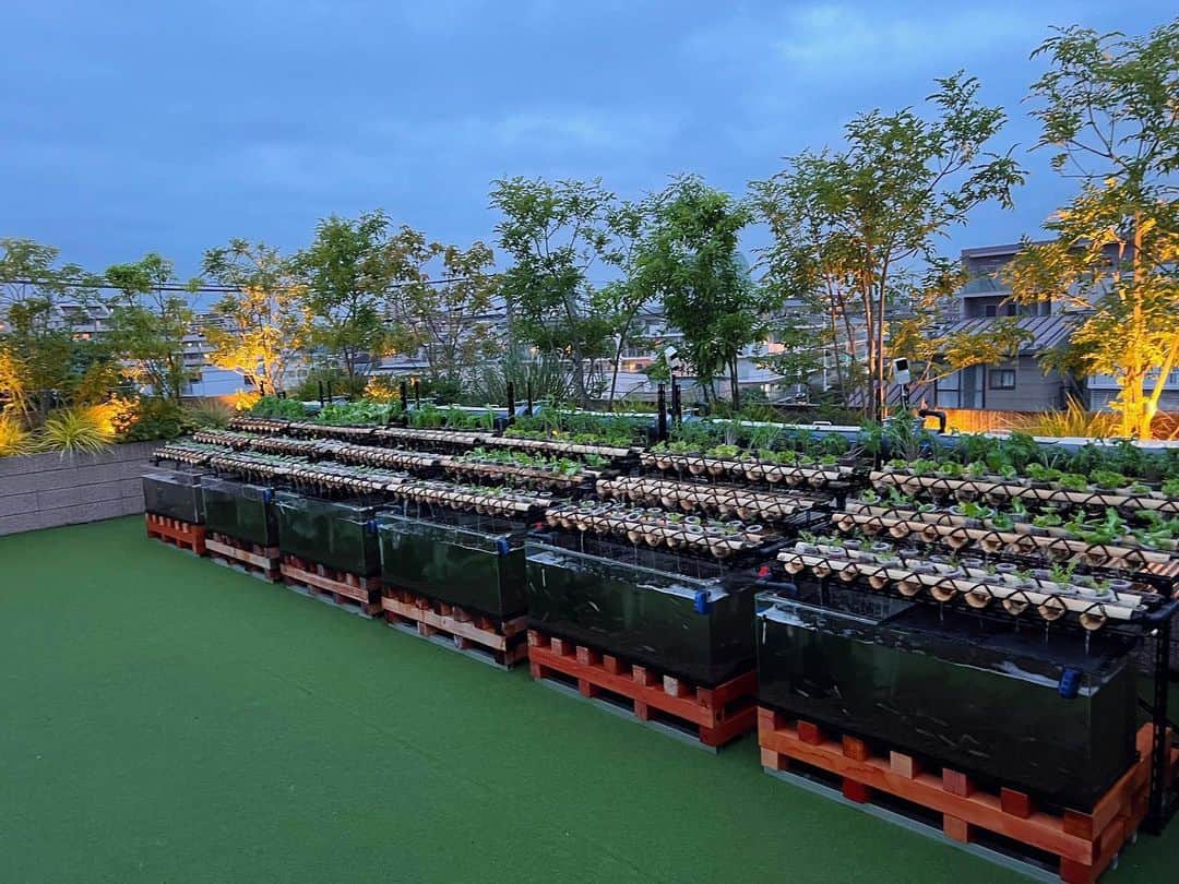 小林涼子のグルメインスタ