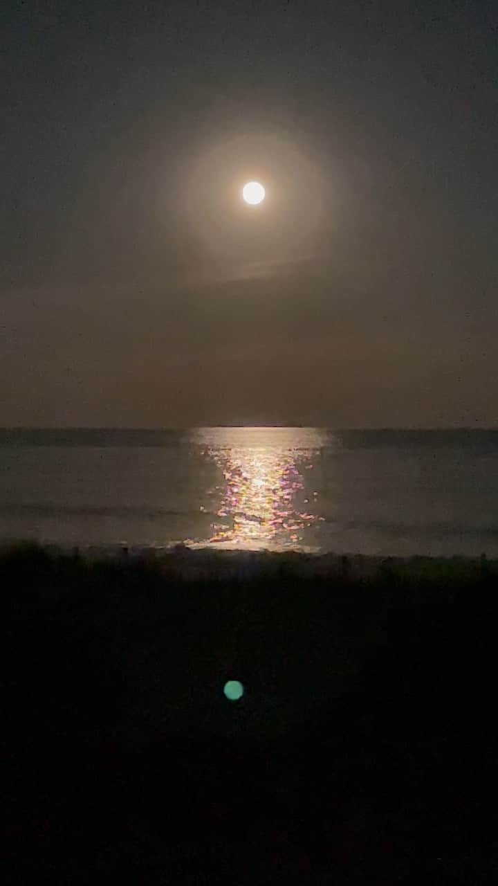 デレク ラムのインスタグラム：「M & M. Magic moon last night. Volume up #fireisland」