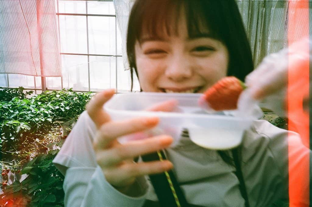 のインスタグラム：「いつかのいちご狩り🍓 はじめていちご狩りしたんだ〜」