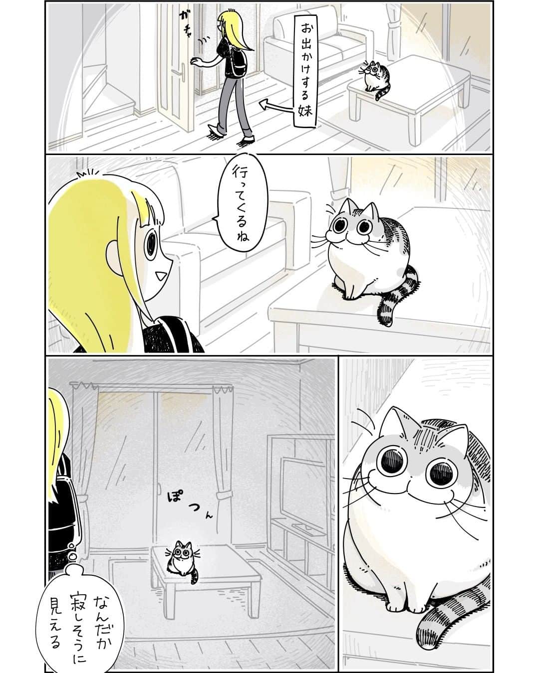 キュルZのインスタグラム：「お出かけする妹とネコ  #キュルガ #夜は猫といっしょ #猫 #猫漫画 #猫のいる暮らし」