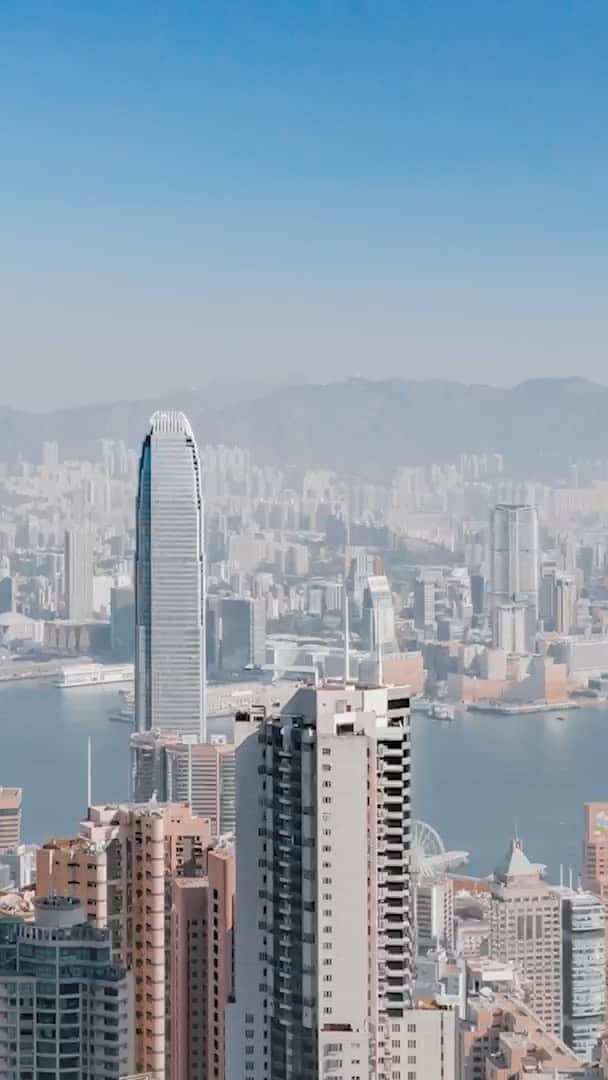 Discover Hong Kongのインスタグラム：「How does Hong Kong inspire you? 😍 Feel Hong Kong's vibrant vibe with @mcheung1201 , @gareth_tong and @moonstyles_ , discover what they love about the city, and check out their go-to spots! 😎 有冇諗過，香港有咩咁吸引你？😍 一齊同 @mcheung1201 、@gareth_tong 及 @moonstyles_ 遊走各區，找尋城中多姿多采、新舊交錯嘅靈感，佢哋仲會各自分享本地嘅必玩推介！😎 🎥: @hypebeastzh #DiscoverHongKong」