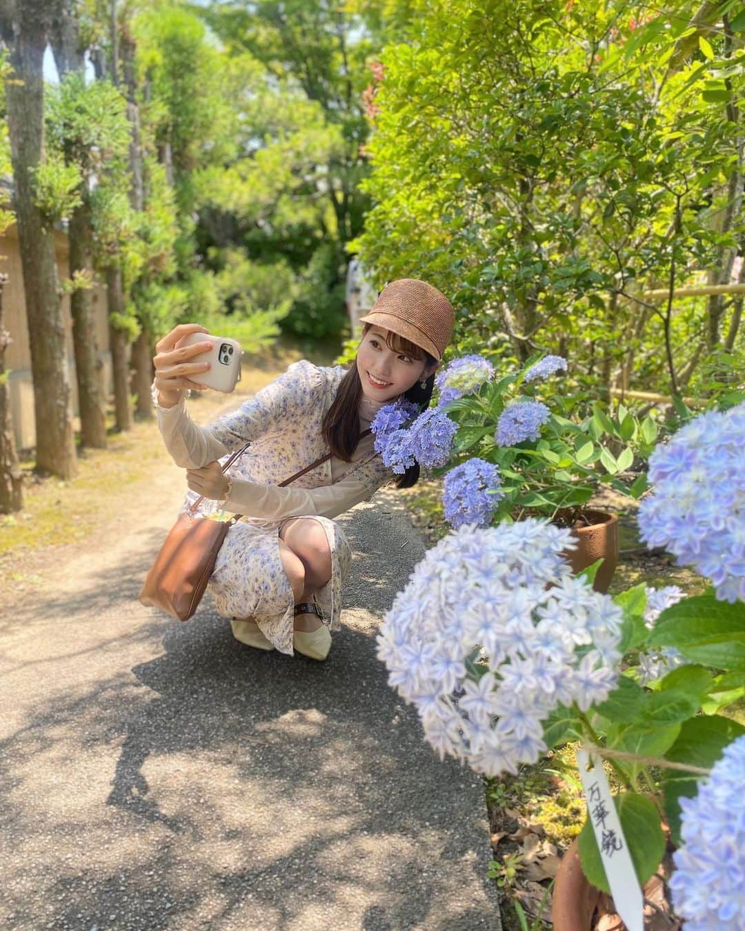 山下七子さんのインスタグラム写真 - (山下七子Instagram)「筥崎宮にだいすきな紫陽花を見に行ってきたよ〜🫧🫧 撮影してる所をお友達が撮ってくれていました☺️🍑  また投稿しますね〜♪ #筥崎宮 #紫陽花#筥崎宮花庭園#福岡県#お花#夏#梅雨の楽しみ」6月17日 20時35分 - yamashita_nanako