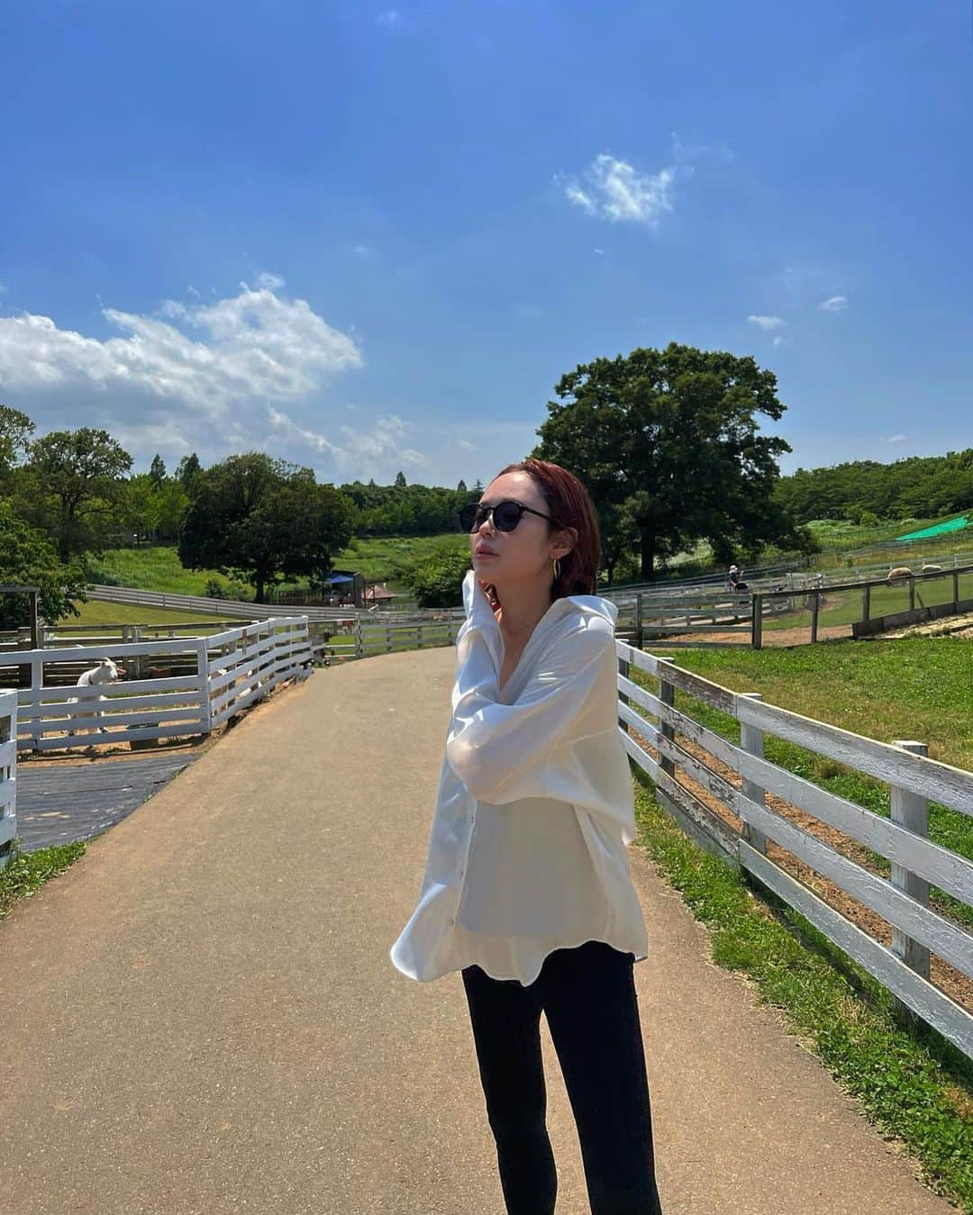 島居玲子のインスタグラム：「🌤🫶🏽」