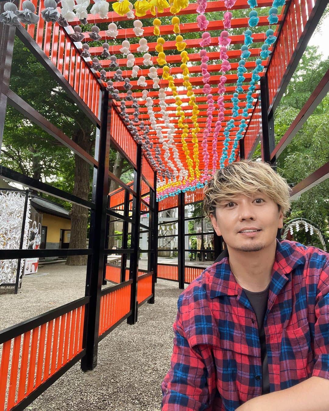 のインスタグラム：「田無神社さんが毎年境内に設置する七夕てるてるトンネル🎋  いつもは神職の方々が手作りで設置するらしいのですが、 今年はコロナも落ち着いてきたこともあり、賑やかに例年の倍の長さになるということで、僕もシュライングラムのスタッフを連れて設置のお手伝いをしてきました＾＾  鮮やかなてるてる坊主が可愛いトンネル💕  １時間半くらいで設置完了！ ひとつひとつ丁寧に取り付けたよ。  この後、沢山の参拝者の願いが込められたてるてる坊主が両脇の柵に沢山かかっていくと思うと、なんだかとても嬉しい気持ちになりました。  ということで僕も願い事🙏✨  叶いますように😊  #田無神社 #七夕てるてるトンネル #shrinegram #ボランティア」