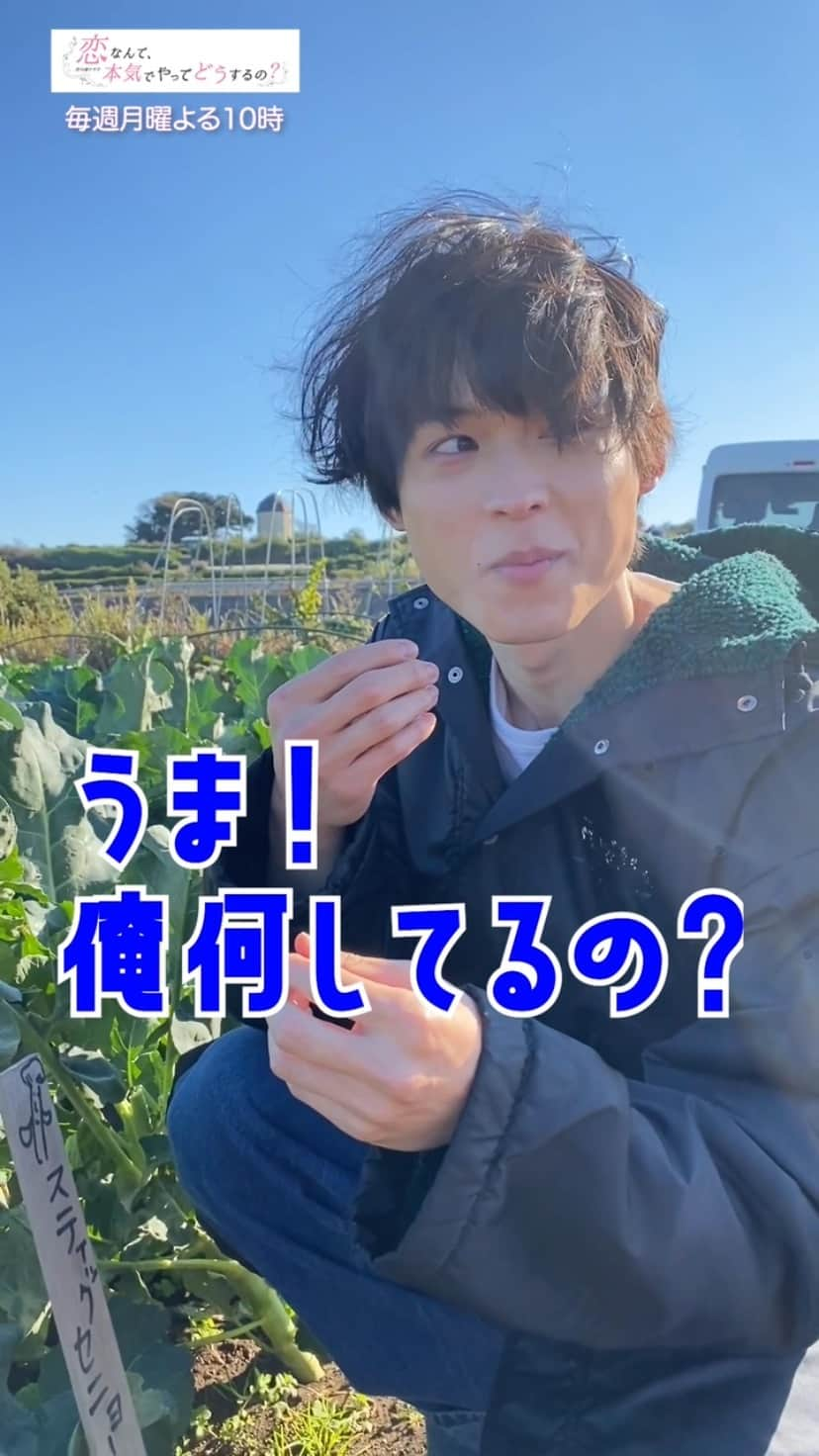 恋なんて、本気でやってどうするの？のインスタグラム：「＊ ＊  #恋マジ 現場のぞき見シリーズ👀 新動画✨  #松村北斗 さんがグルメ番組に挑戦！？🤣  最終回は20日（月）よる10時！  見逃し配信は… #カンテレドーガ https://bit.ly/38ziyEm #TVer https://bit.ly/3r7Oc22  #広瀬アリス #西野七瀬 #藤木直人 #飯豊まりえ #岡山天音 #恋なんて本気でやってどうするの」