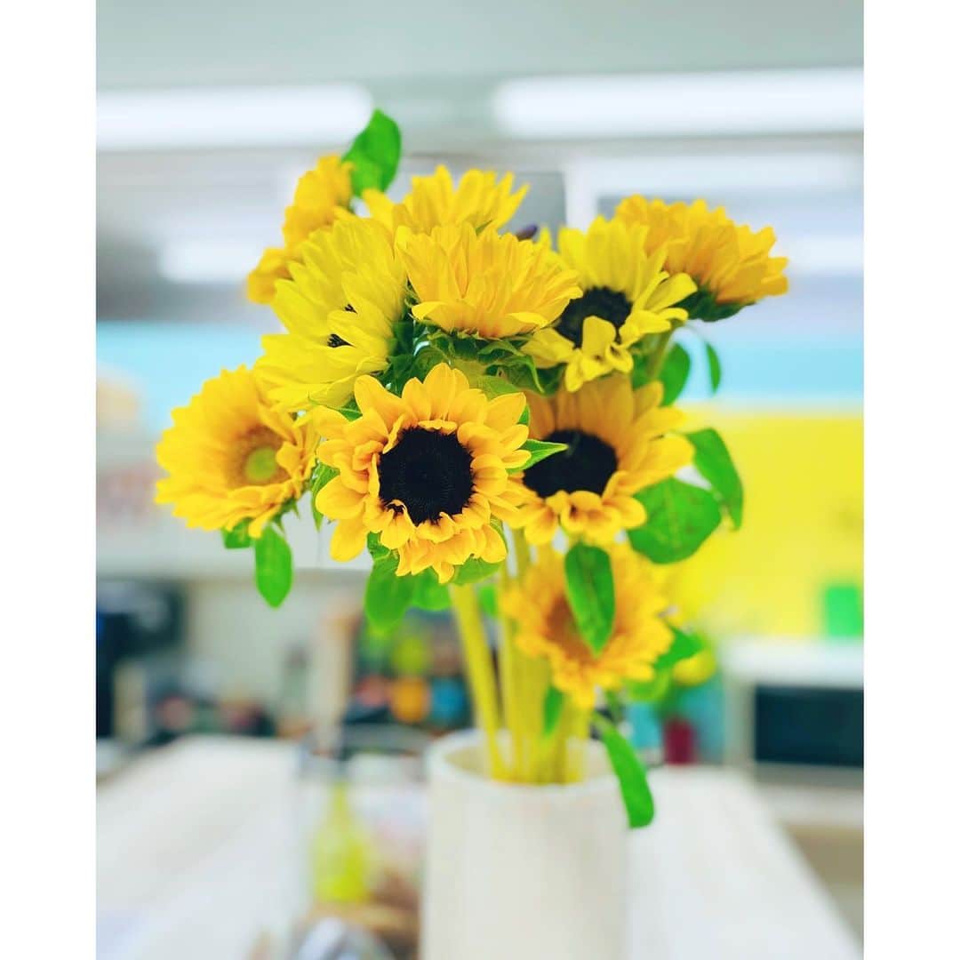 竹俣紅のインスタグラム：「🌻 今週も『めざまし8』を観てくださってありがとうございました！ けさは急遽 中継に行ってまいりました。 ⁡ アナウンス室も、ひまわりが飾られていたり、永島先輩がすいかを用意してくださったりと☺️ すっかり夏っぽくなってきました。 ⁡ 衣装もだんだん夏仕様に。 写真3枚目は、木曜のめざまし8終わりに新人の松﨑ちゃんが撮ってくれました✨ ⁡ それでは皆さま、良い週末をお過ごしください。 ⁡ #めざまし8」