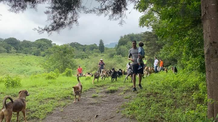 クリス・スモーリングのインスタグラム：「A Costa Rican dog walk 🐕 ❤️ #mansbestfriend」