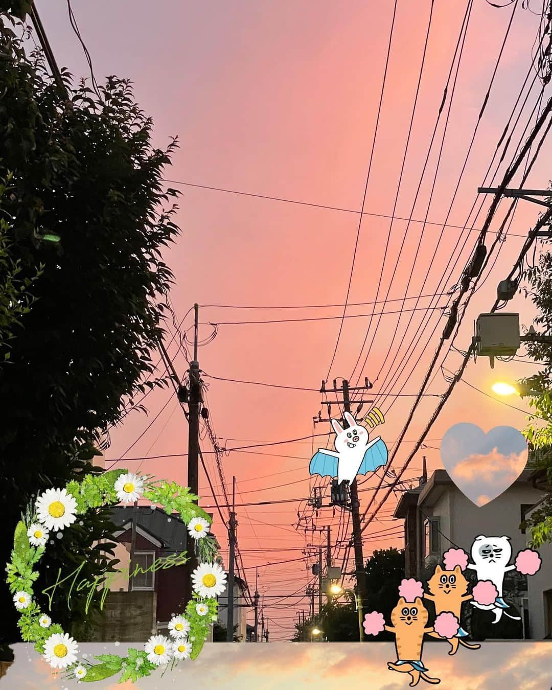 橋本志穂さんのインスタグラム写真 - (橋本志穂Instagram)「夕陽が綺麗だよって 夫からLINEきたので 外に出てみたら 本当に綺麗だった〜🥰  ここにワンズが お散歩してきたりしたら なおさら良いけど、、、 昨日は1匹もいなかったなぁ この気持ち、 わかるかなぁ わかんねぇだろうな〜  #夕焼け」6月18日 1時33分 - shihohashimoto3