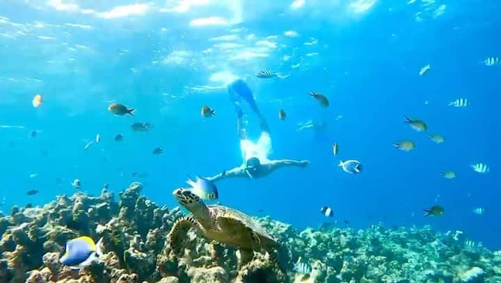 エセキエル・ラベッシのインスタグラム：「Gracias por este increíble día 🌊 🙌🏻」