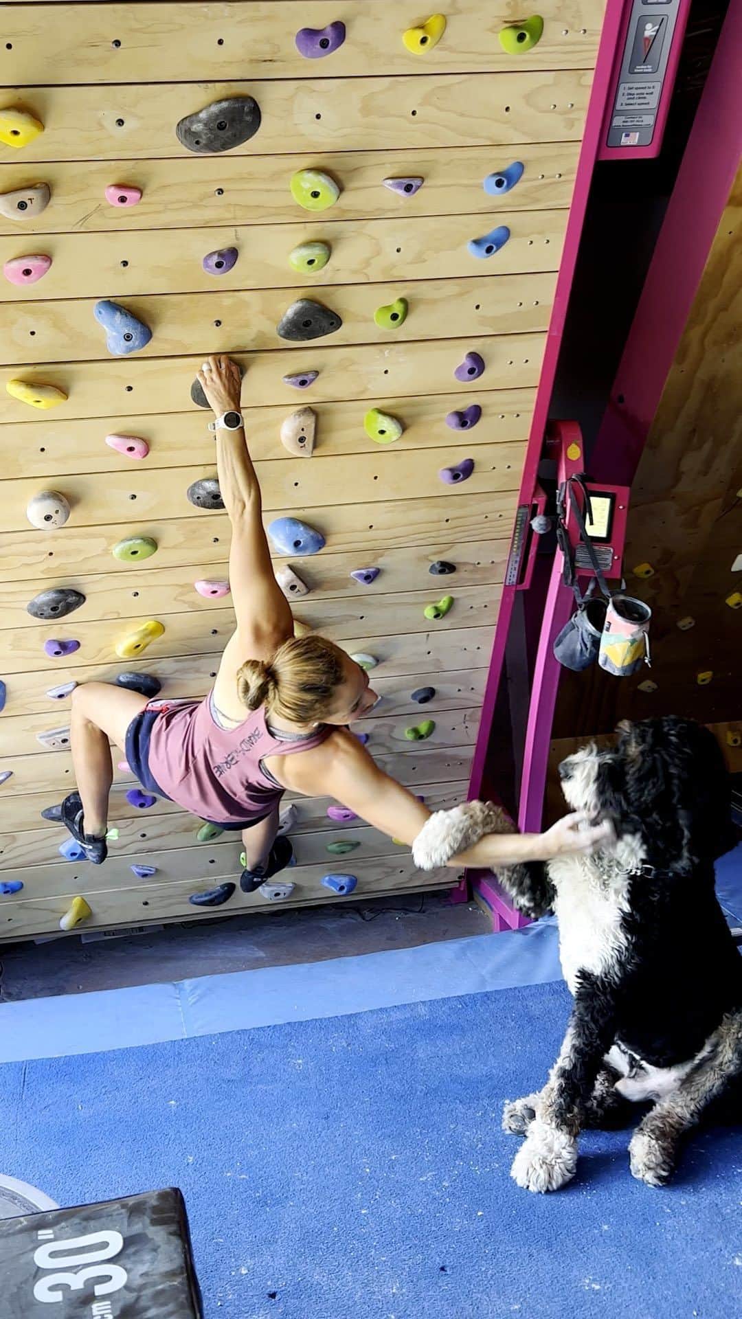 サッシャ・ディギーリアンのインスタグラム：「Pro rock climber @sashadigiulian was told she may never be able to climb again - watch her puppy @moosechaga help her get back on her feet 💛」