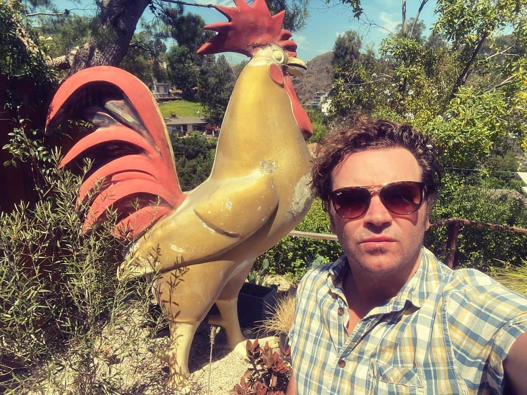 ダニー・マスターソンのインスタグラム：「You cannot snuff the 🐓 #gallo」