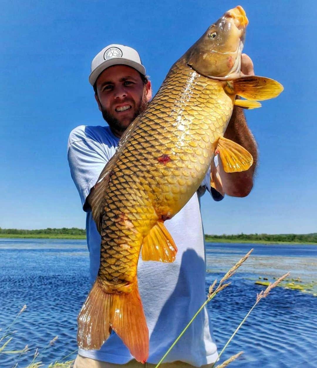 Filthy Anglers™のインスタグラム：「This carp was 1 of 6 species on the day for @tyler_the_fish_whisperer - congrats on the catch you are Certified Filthy www.filthyanglers.com #fishing #carp #outdoors #bassfishing #angler #filthyanglers #outdoors #hunting」