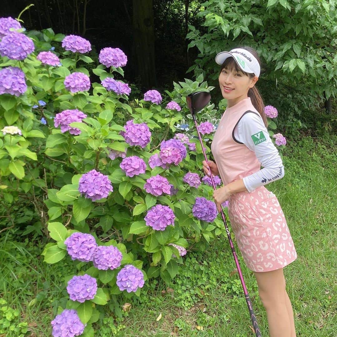 竹村真琴のグルメインスタ