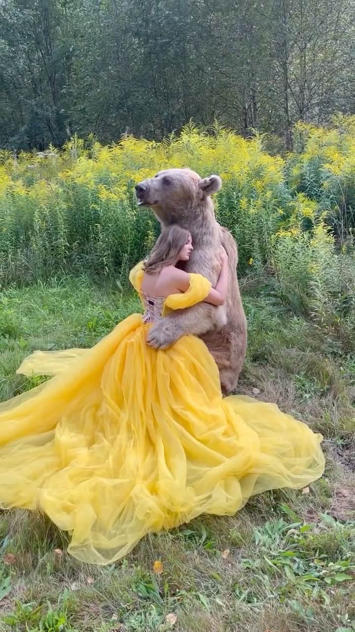 WildLifeのインスタグラム：「Via @anastasiya_dobrovolskaya 💛🐻  Stepan is a unique bear! He lives with people for almost 30 years!  @anastasiya_dobrovolskaya1 @panteleenko_svetlana @helena_lee_way」