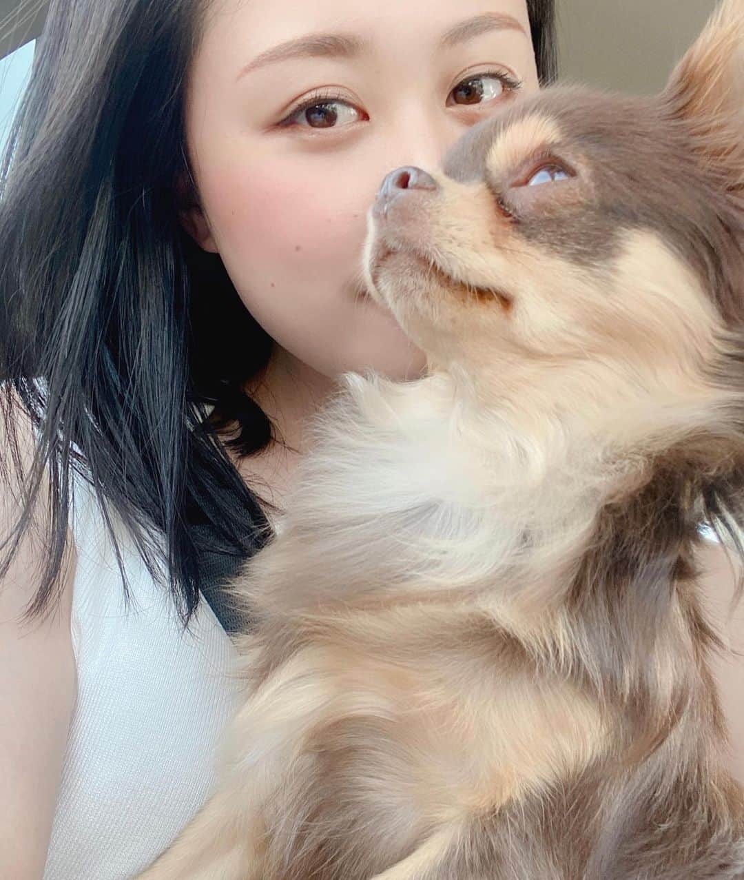 Rina Itagakiのインスタグラム：「Spent the week off with my fur ball🐶 1週間お休みを取って名古屋と金沢に行ってきました🤍 ニコ様とずっと一緒にいれて幸せ☺️🍃 明後日からまたお仕事頑張ります✌️」