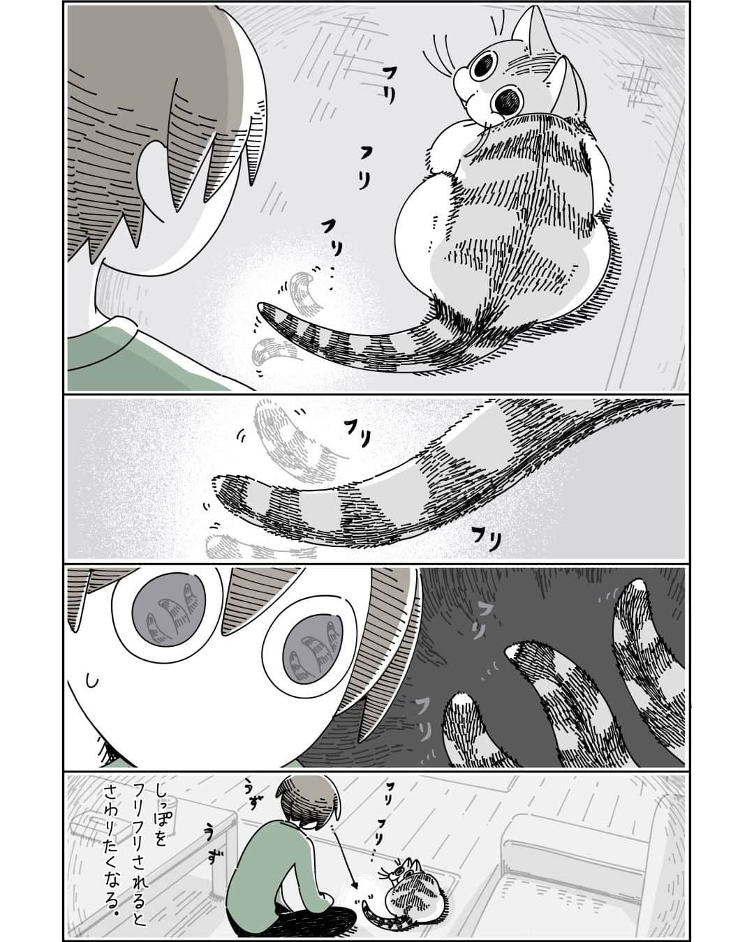 キュルZのインスタグラム：「ネコにじゃらしてもらう  #キュルガ #夜は猫といっしょ #猫 #猫漫画 #猫のいる暮らし」
