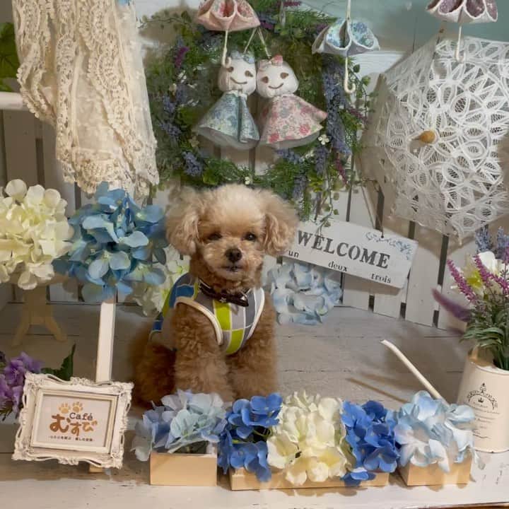 ❤︎Till❤︎のグルメインスタ