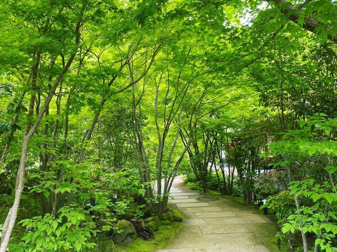 上田眞央のグルメインスタ