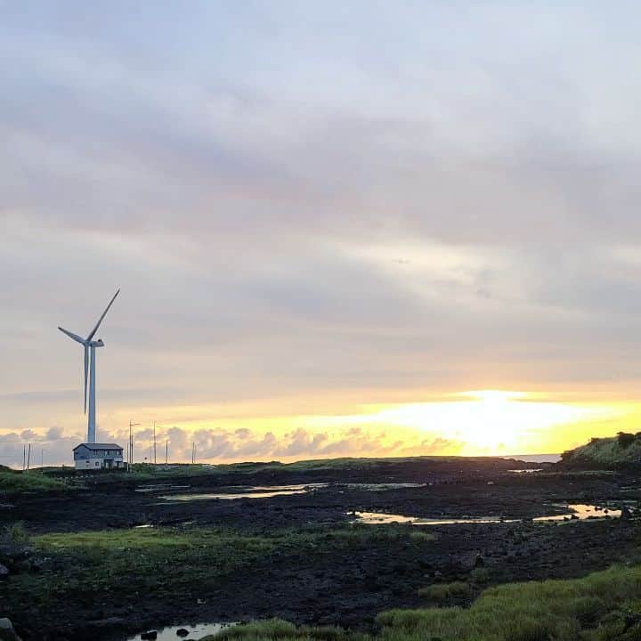 ココのインスタグラム：「이쁜 제주도 ☺👍👍👍」