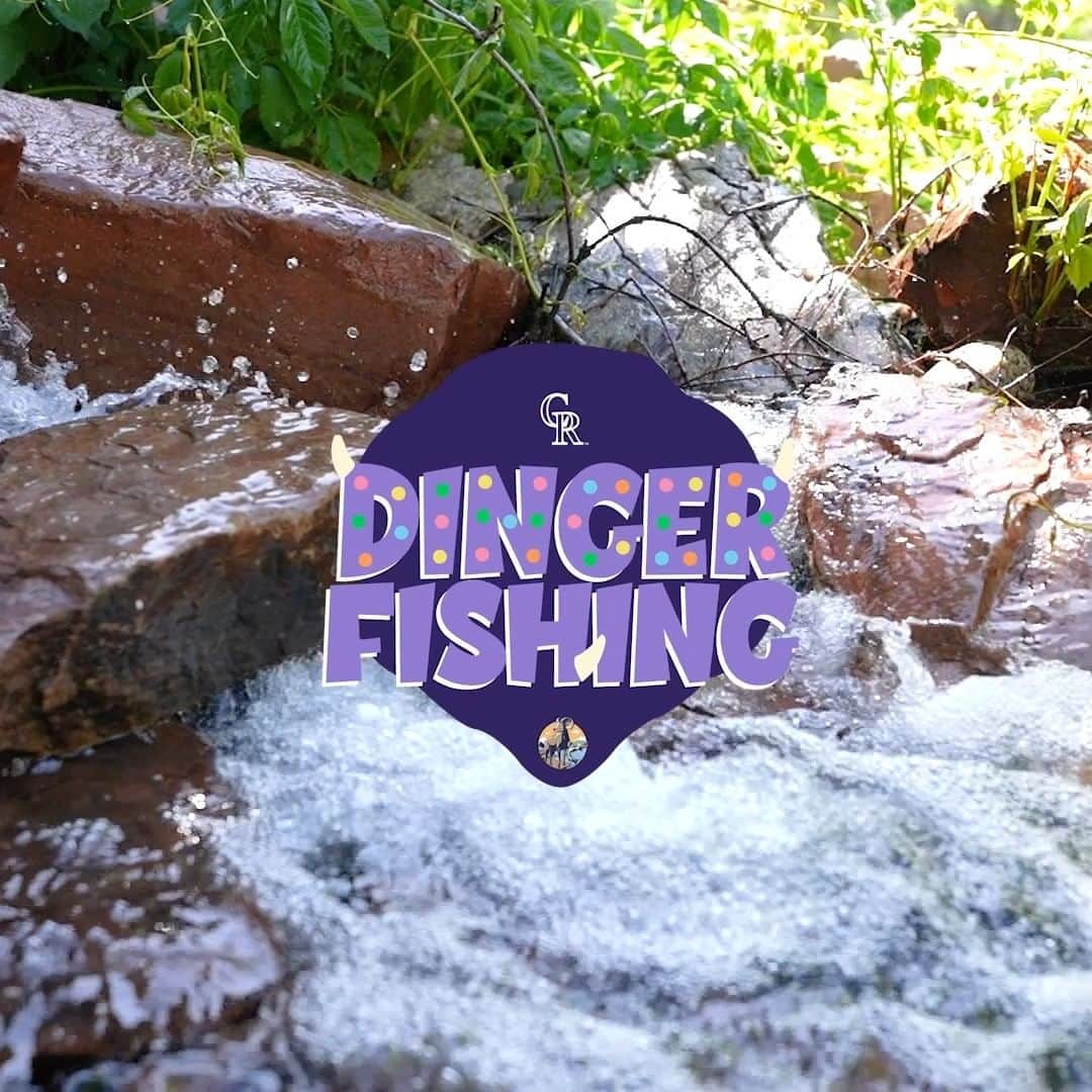 コロラド・ロッキーズのインスタグラム：「Dinos who fish? Dinger is pretty HOOKED 🎣  It’s National Fishing Day & we hope you enjoy throwing out a line today with the @coloradowildlifecouncil!  #Rockies | #ThisIsWildlife」